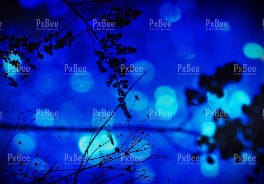 nature-bokeh-Blue-Cobalt blue-Sky | Stock Photo, Royalty Free Image ...