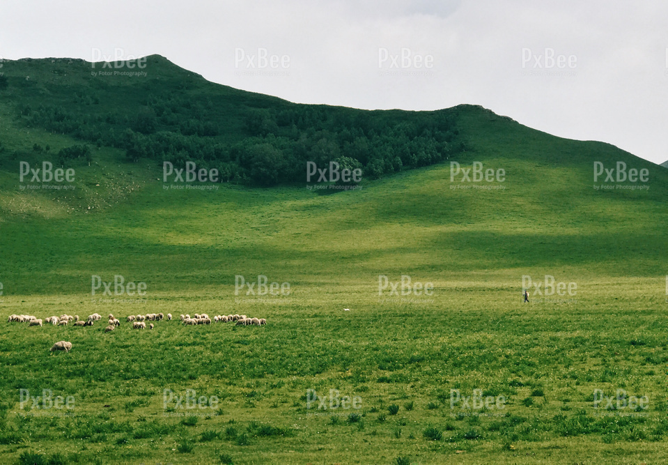 grassland-pasture-hill-grass-sky | Stock Photo, Royalty Free Image ...
